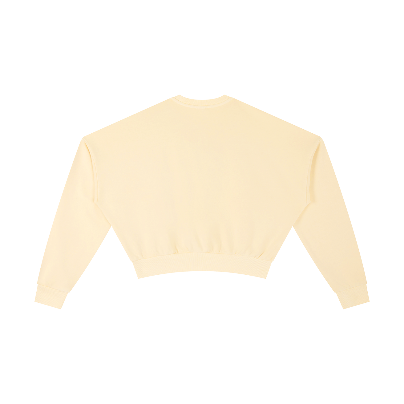 LAYIN LO Vintage Wash Cropped Sweatshirt