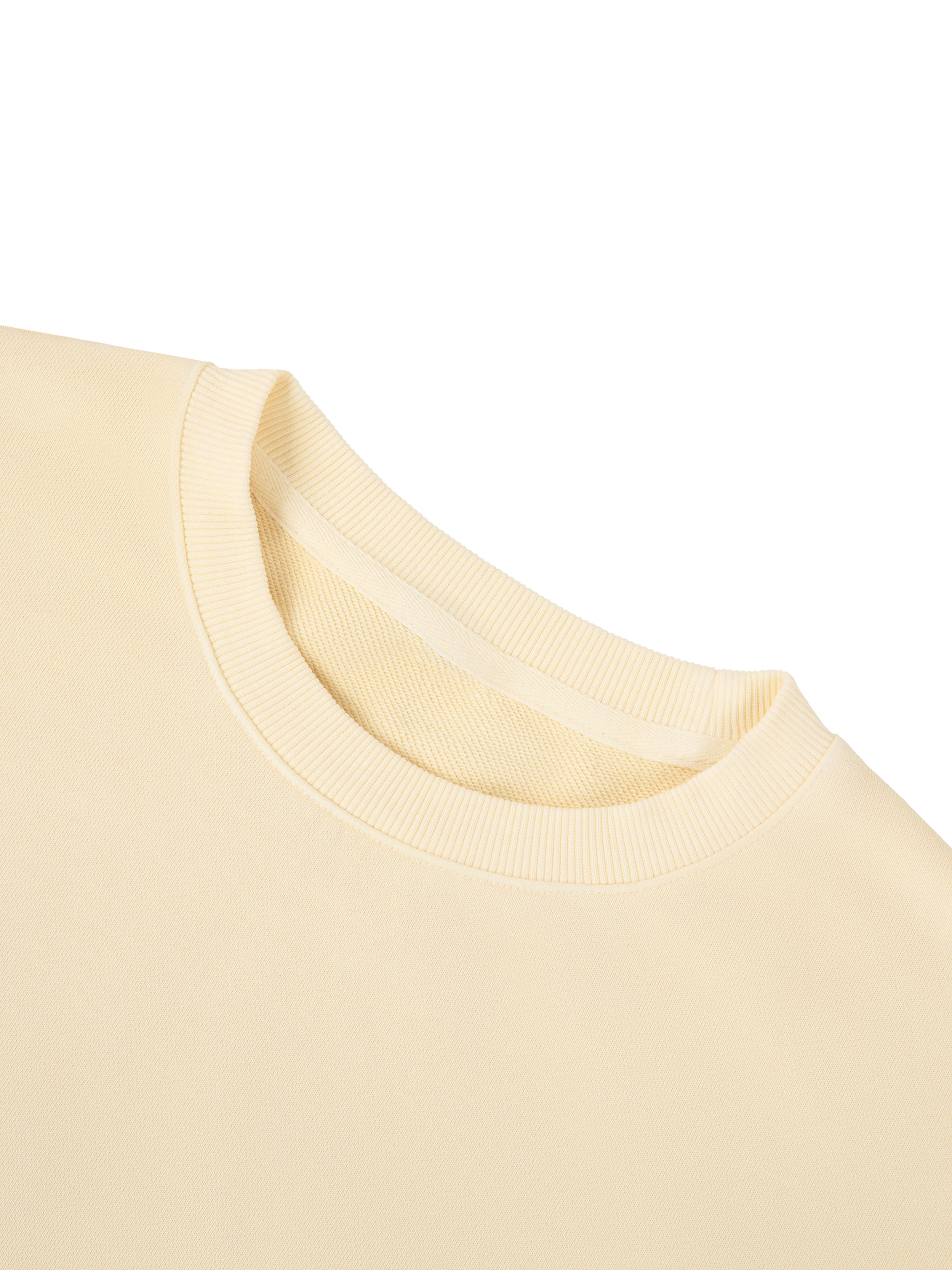 LAYIN LO Vintage Wash Cropped Sweatshirt